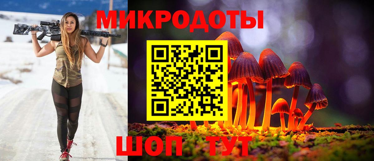 Галлюциногенные грибы Cubensis Гуково